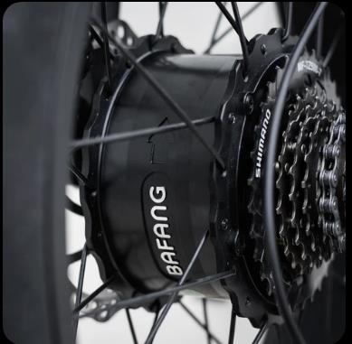 50 Rebels EBike R-Serie