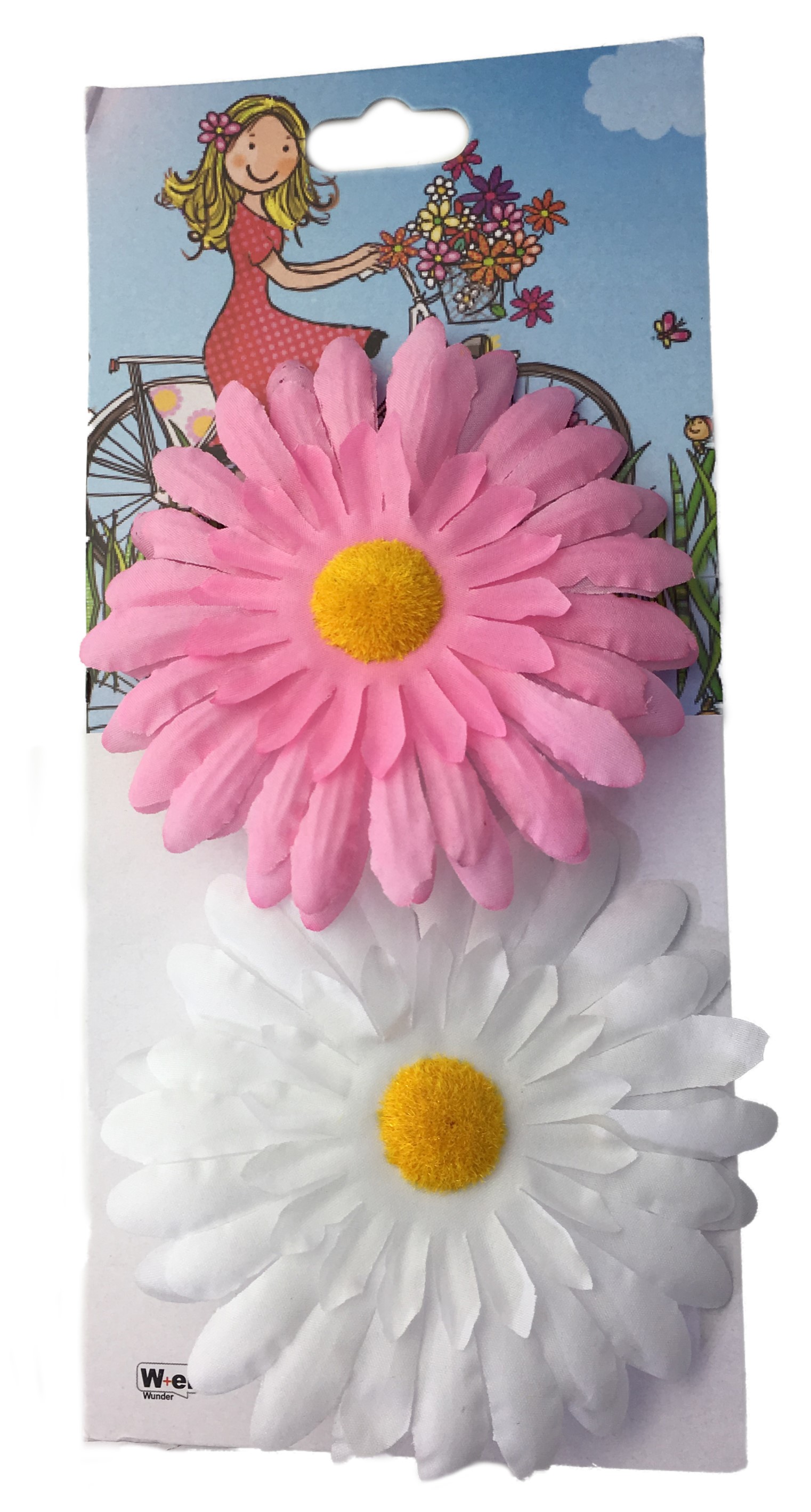 Lenkerblume Chrysantheme rosa und weiß