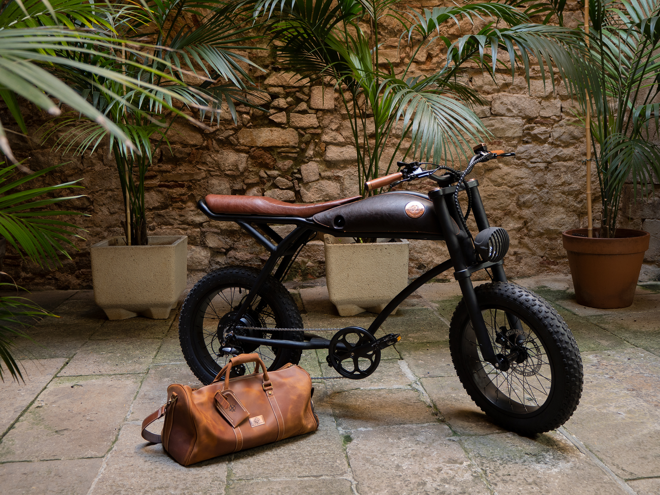 Rayvolt Ringo Smart+ EBike shadow black