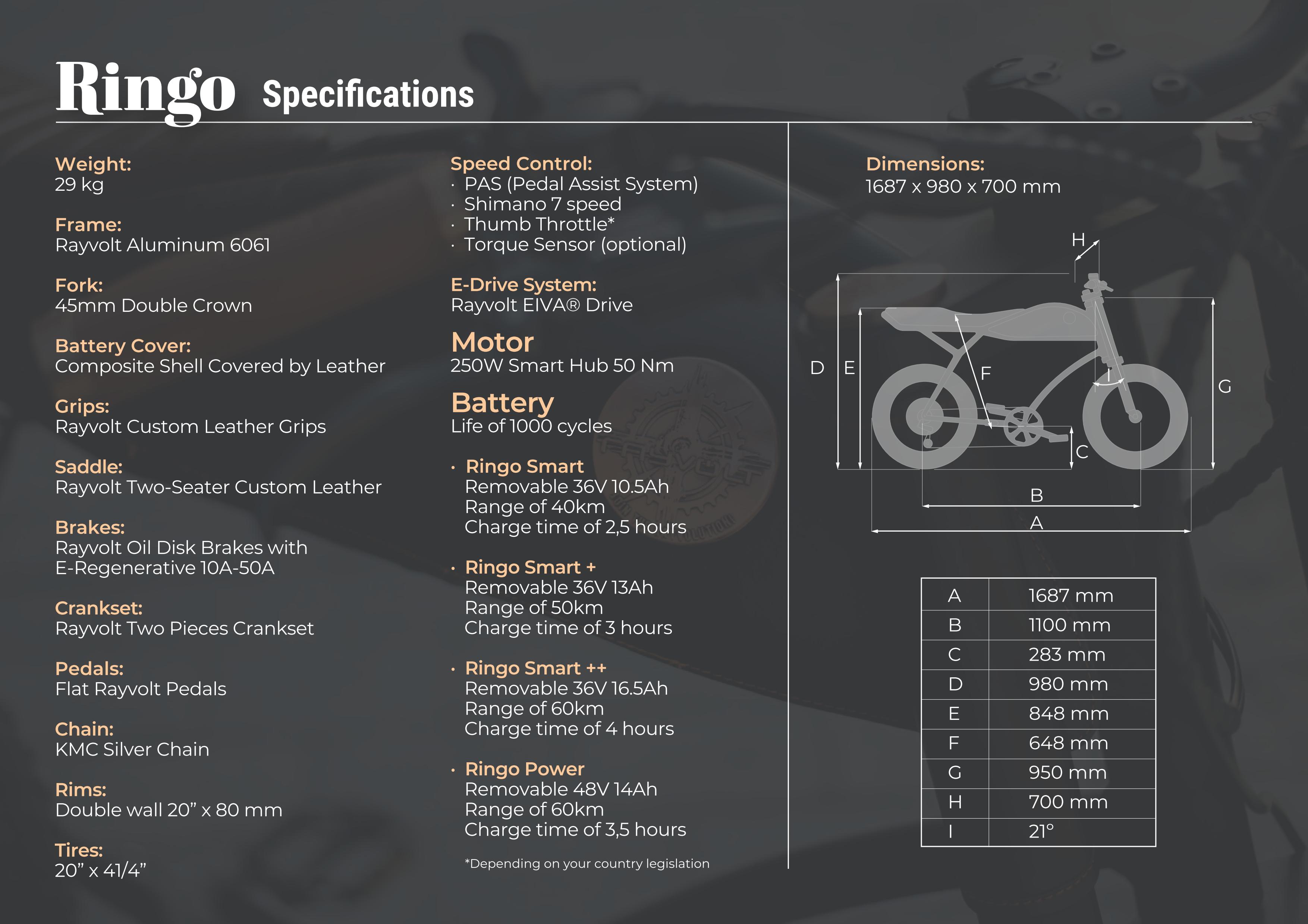 Rayvolt Ringo Smart+ EBike shadow black