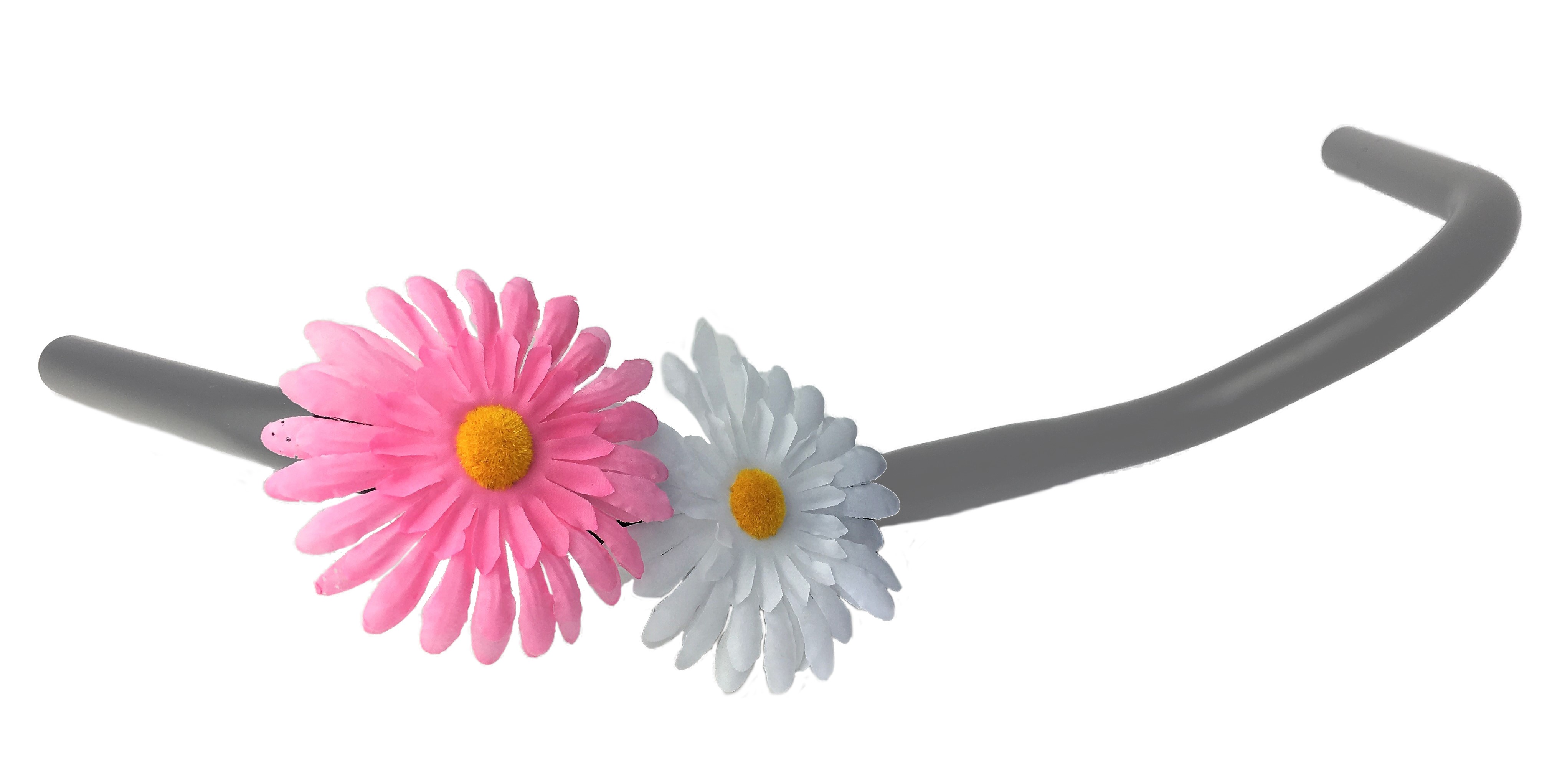 Lenkerblume Chrysantheme rosa und weiß