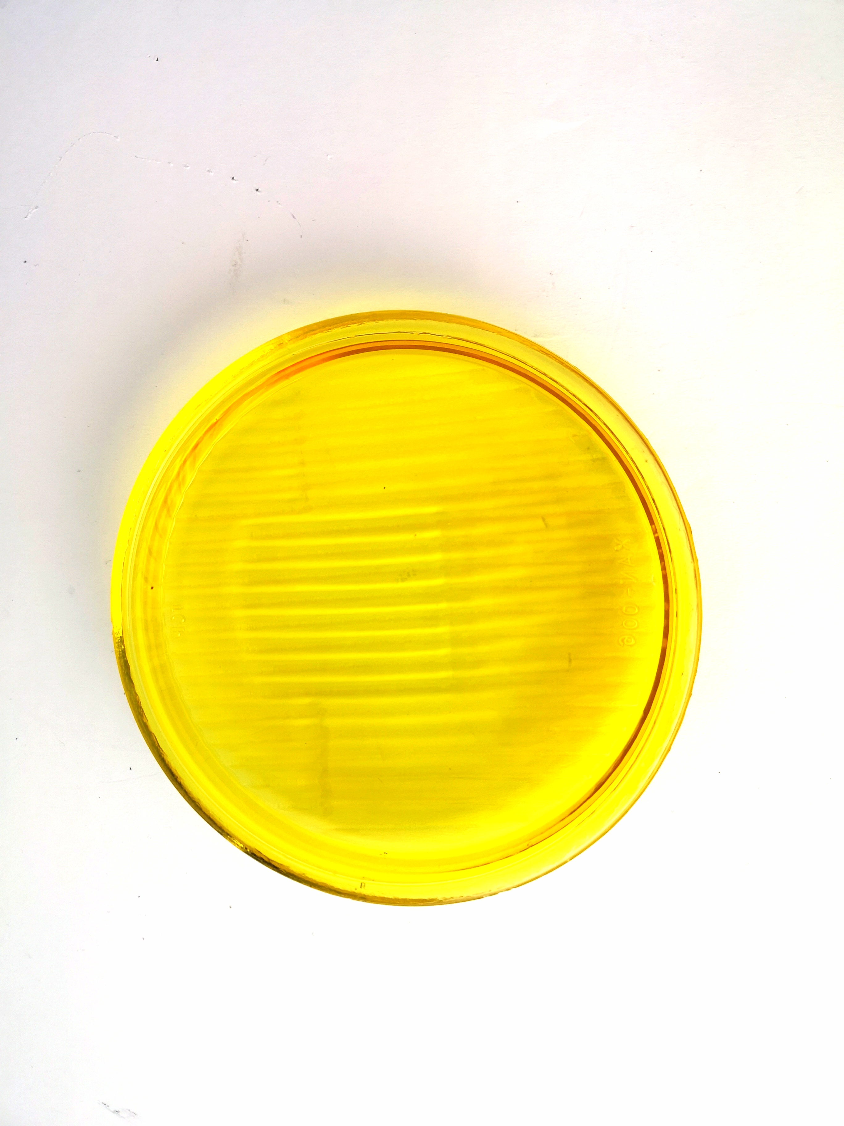 Ersatzglas für Frontlampe  NX 453  452  5 1/2 Zoll, gelb